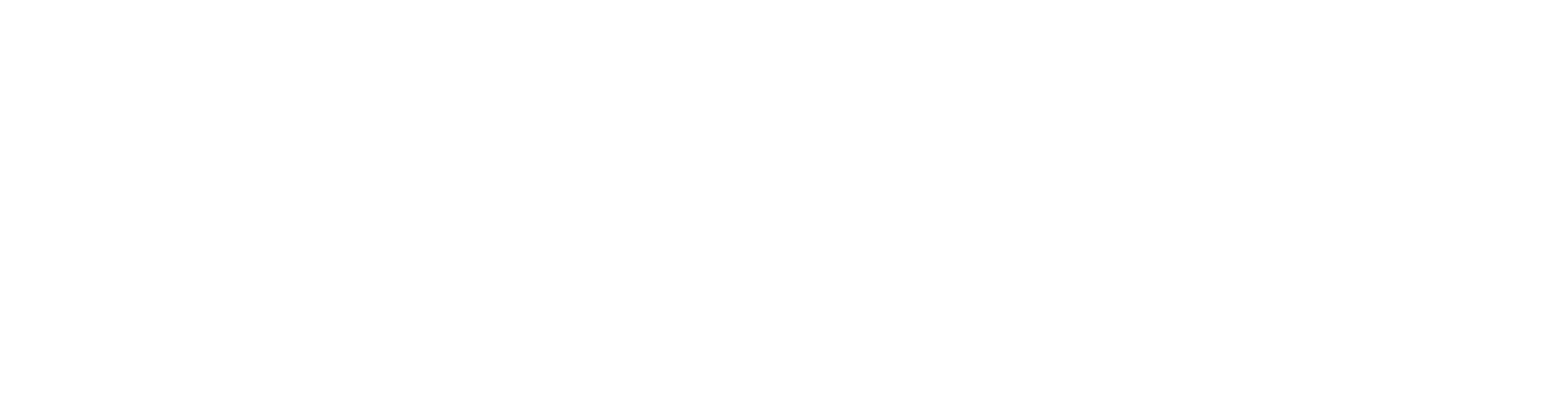 logo-NG